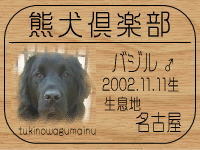 �X�[�p�[�E�j�̕ꂳ��̂a�k�n�f�ւf�n�I